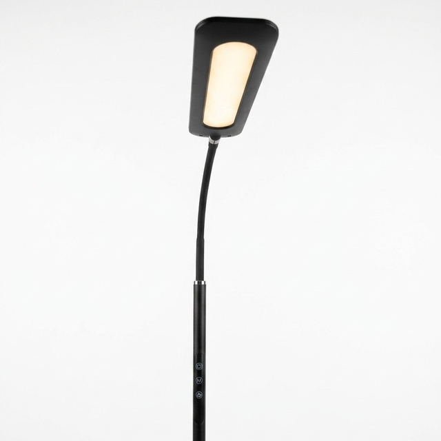Flexible Gooseneck Floor Lamp with Remote Control